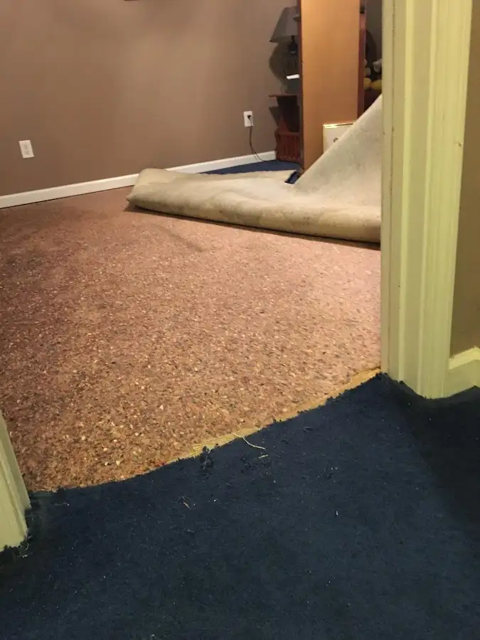 Carpet pad removal revealing water damage during Drying & Dehumidification in Grandwood Park