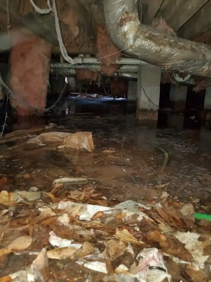 Crawl space flood assessment for Leak Detection & Repair in Grandwood Park
