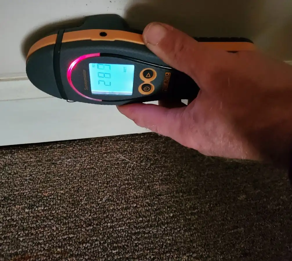 Moisture detection at baseboard during Sewage Cleanup & Sanitation in Grandwood Park